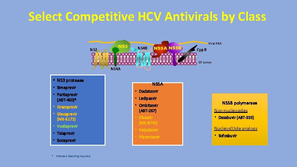Select Competitive HCV Antivirals by Class NS 2 NS 3 NS 5 A NS