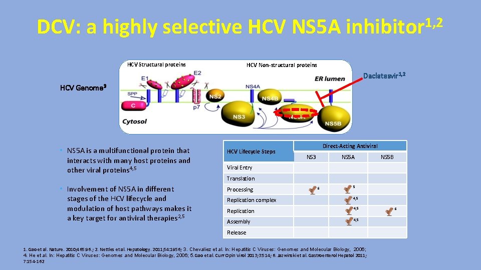 DCV: a highly selective HCV NS 5 A inhibitor 1, 2 HCV Structural proteins