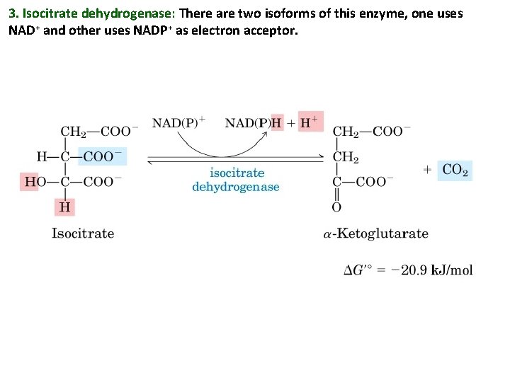 3. Isocitrate dehydrogenase: There are two isoforms of this enzyme, one uses NAD+ and