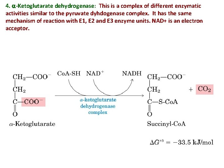 4. a-Ketoglutarate dehydrogenase: This is a complex of different enzymatic activities similar to the