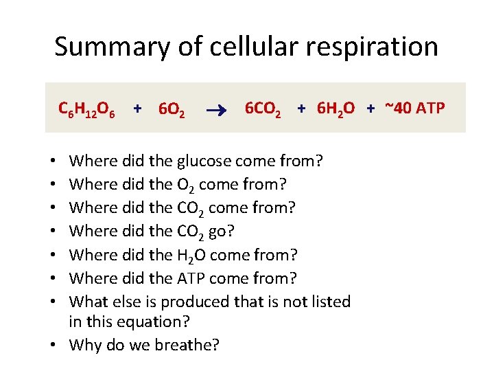 Summary of cellular respiration C 6 H 12 O 6 + 6 O 2