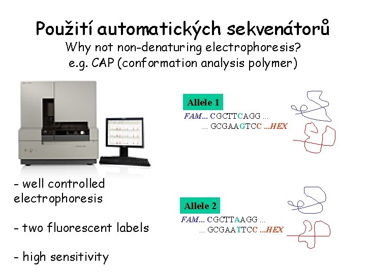 Použití automatických sekvenátorů Why not non-denaturing electrophoresis? e. g. CAP (conformation analysis polymer) Allele