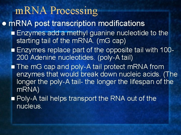 m. RNA Processing l m. RNA post transcription modifications n Enzymes add a methyl