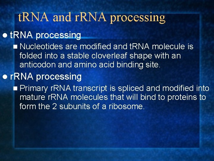 t. RNA and r. RNA processing l t. RNA processing n Nucleotides are modified