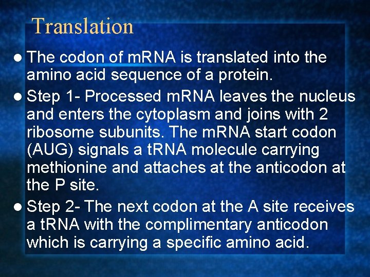 Translation l The codon of m. RNA is translated into the amino acid sequence