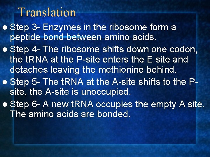 Translation l Step 3 - Enzymes in the ribosome form a peptide bond between