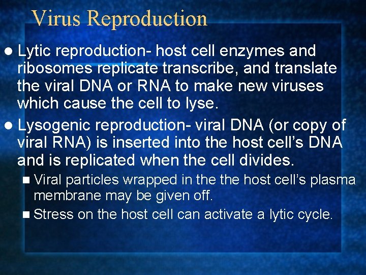 Virus Reproduction l Lytic reproduction- host cell enzymes and ribosomes replicate transcribe, and translate