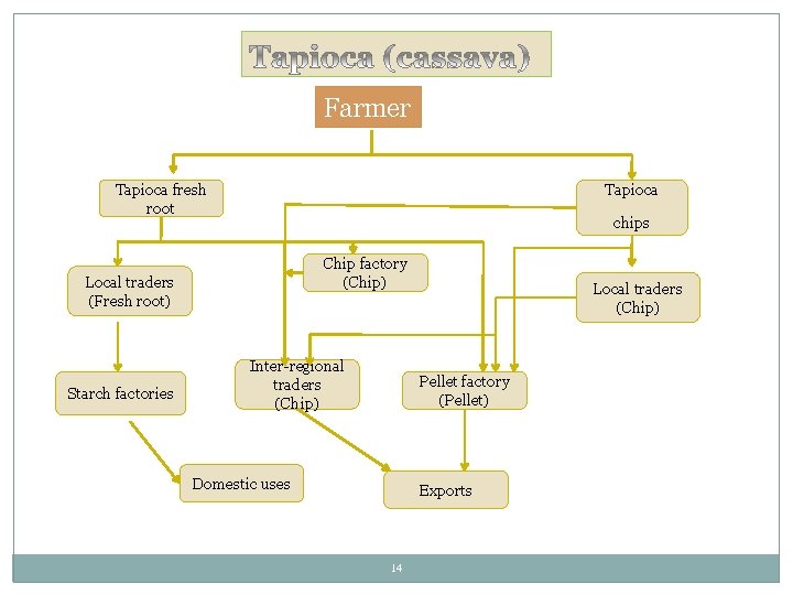 Farmer Tapioca fresh root Tapioca chips Chip factory (Chip) Local traders (Fresh root) Starch