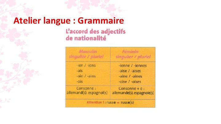 Atelier langue : Grammaire 