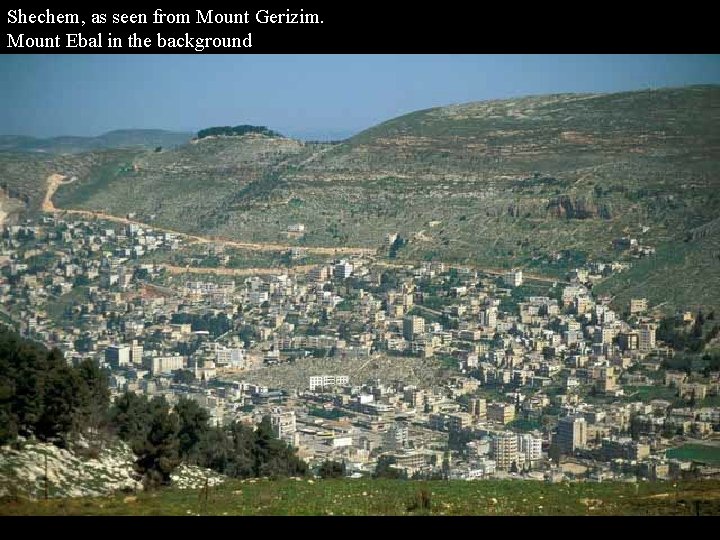 Shechem, as seen from Mount Gerizim. Mount Ebal in the background 