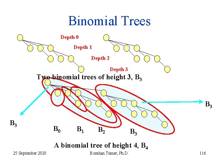 Binomial Trees Depth 0 Depth 1 Depth 2 Depth 3 Two binomial trees of