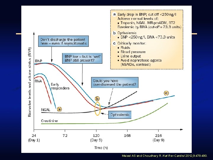 Maisel AS and Choudhary R. Nat Rev Cardiol 2012; 9: 478 -490. 