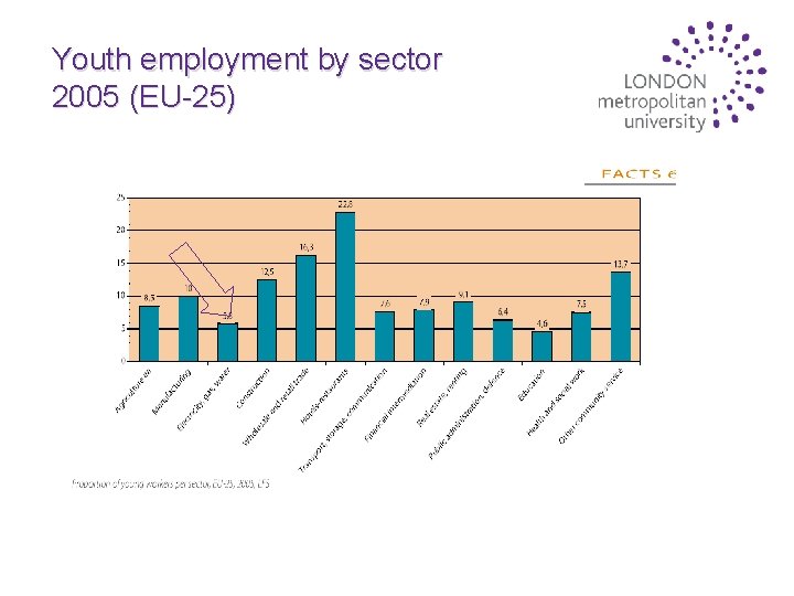 Youth employment by sector 2005 (EU-25) 