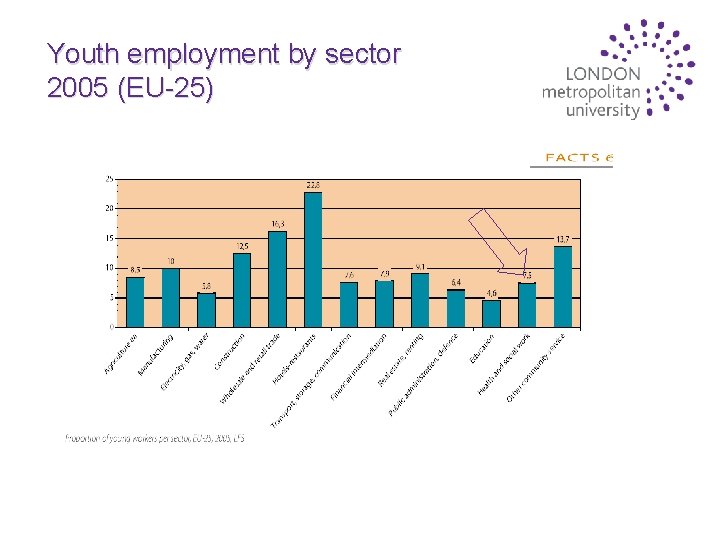 Youth employment by sector 2005 (EU-25) 