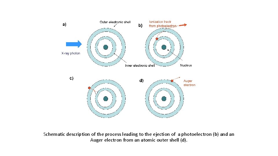 Schematic description of the process leading to the ejection of a photoelectron (b) and