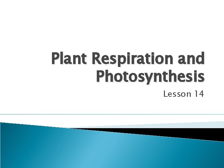 Plant Respiration and Photosynthesis Lesson 14 