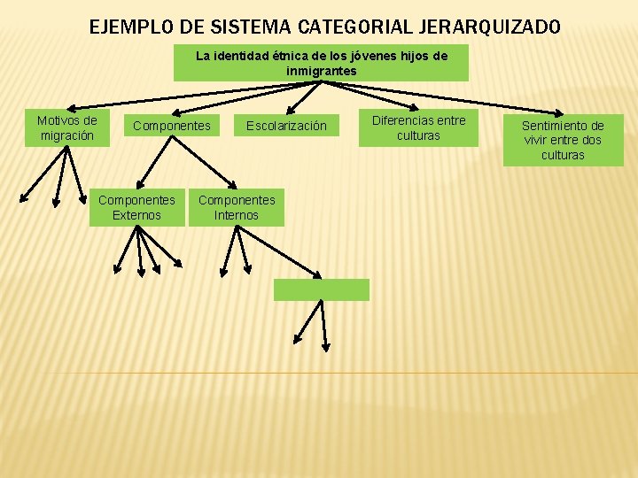 EJEMPLO DE SISTEMA CATEGORIAL JERARQUIZADO La identidad étnica de los jóvenes hijos de inmigrantes