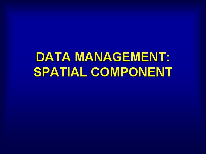 DATA MANAGEMENT: SPATIAL COMPONENT 