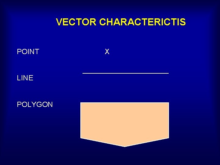 VECTOR CHARACTERICTIS POINT LINE POLYGON X 