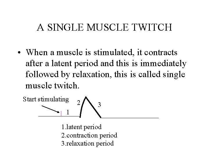 A SINGLE MUSCLE TWITCH • When a muscle is stimulated, it contracts after a