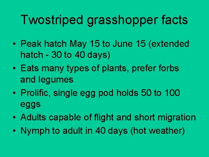 Twostriped grasshopper facts • Peak hatch May 15 to June 15 (extended hatch -