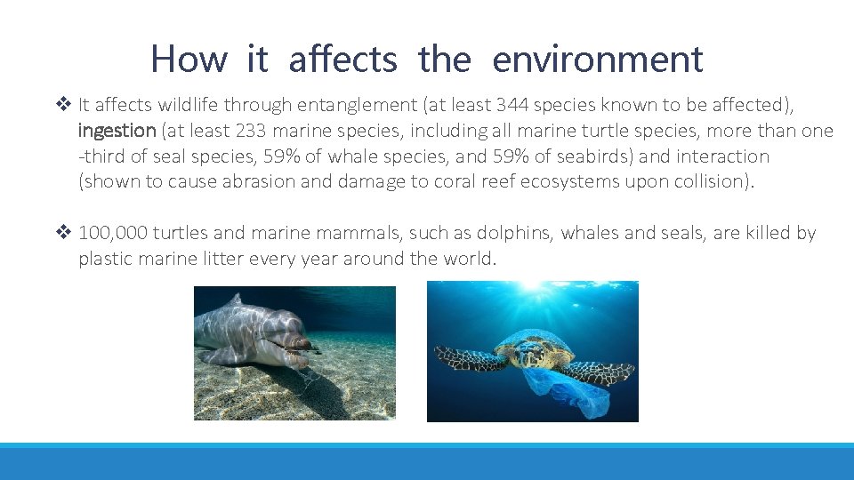 How it affects the environment v It affects wildlife through entanglement (at least 344