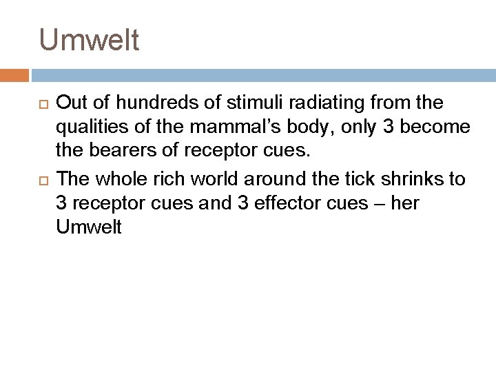 Umwelt Out of hundreds of stimuli radiating from the qualities of the mammal’s body,