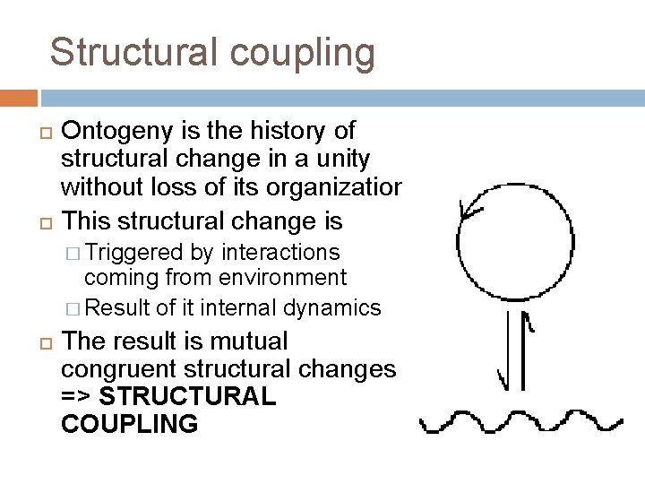 Structural coupling Ontogeny is the history of structural change in a unity without loss