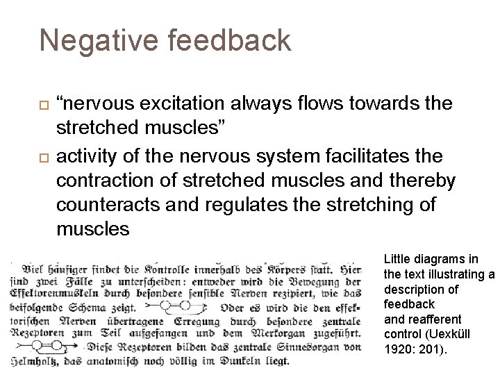 Negative feedback “nervous excitation always flows towards the stretched muscles” activity of the nervous