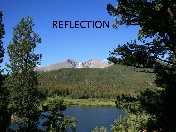 REFLECTION 