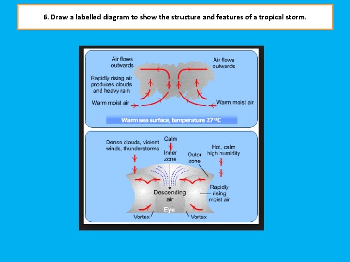6. Draw a labelled diagram to show the structure and features of a tropical