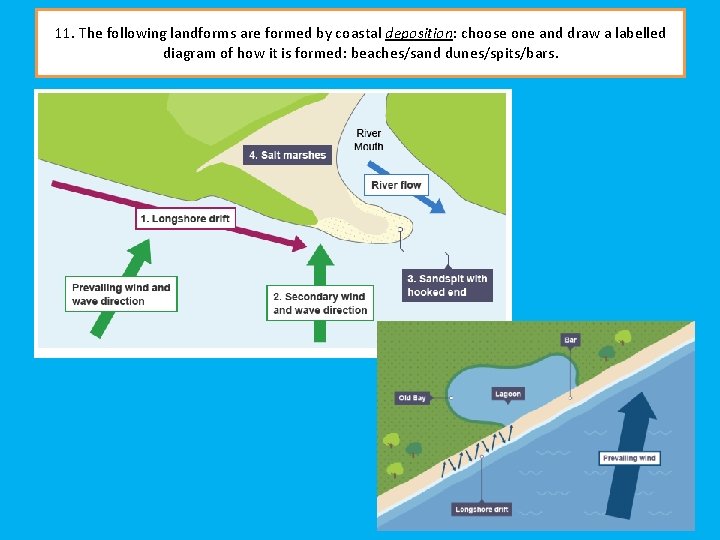 11. The following landforms are formed by coastal deposition: choose one and draw a