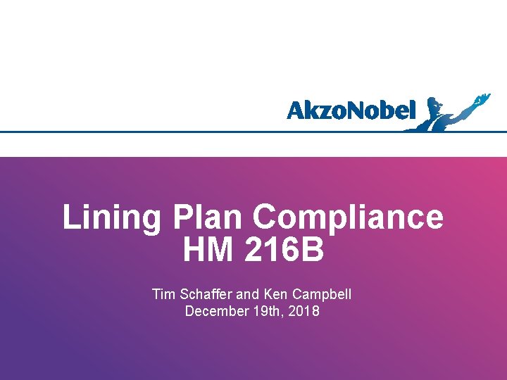 Lining Plan Compliance HM 216 B Tim Schaffer and Ken Campbell December 19 th,