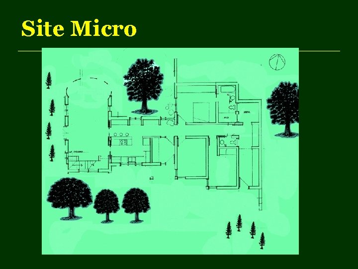 Site Micro 