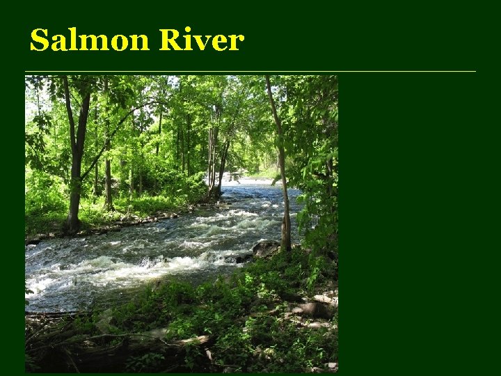 Salmon River 