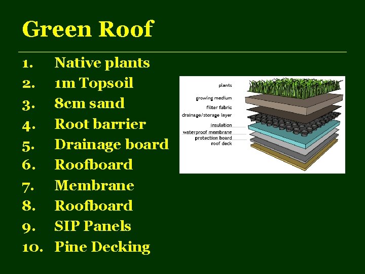 Green Roof 1. 2. 3. 4. 5. 6. 7. 8. 9. 10. Native plants