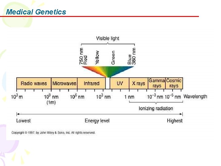 Medical Genetics 