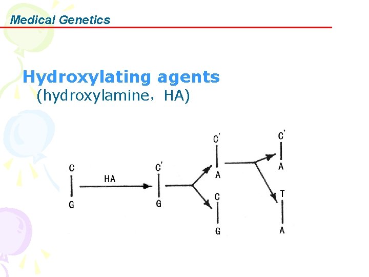 Medical Genetics Hydroxylating agents (hydroxylamine，HA) 