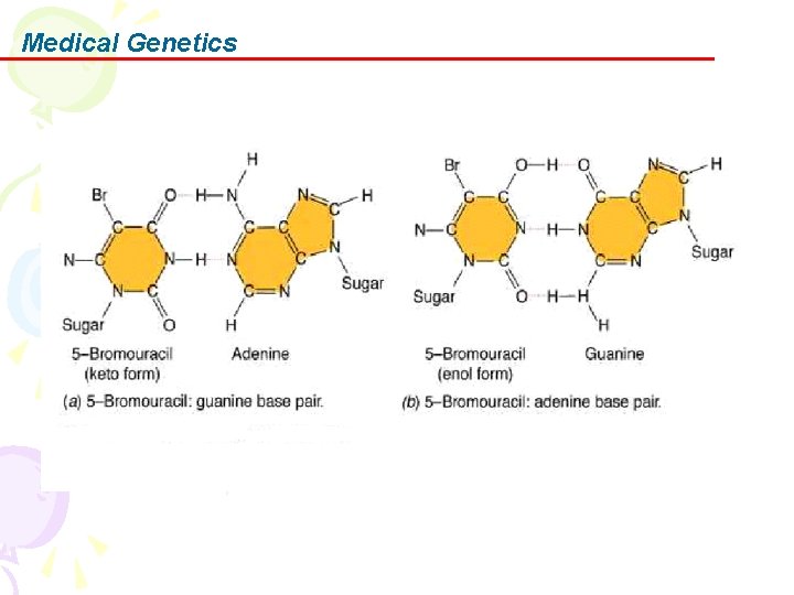 Medical Genetics 