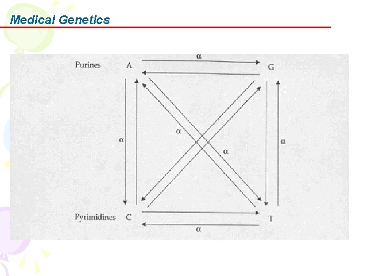 Medical Genetics 