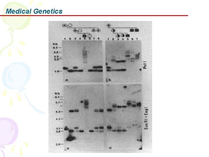 Medical Genetics 