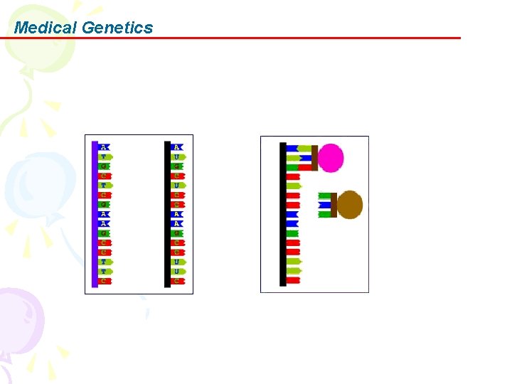 Medical Genetics 