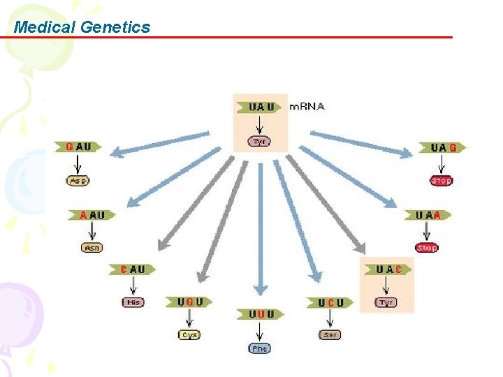 Medical Genetics 