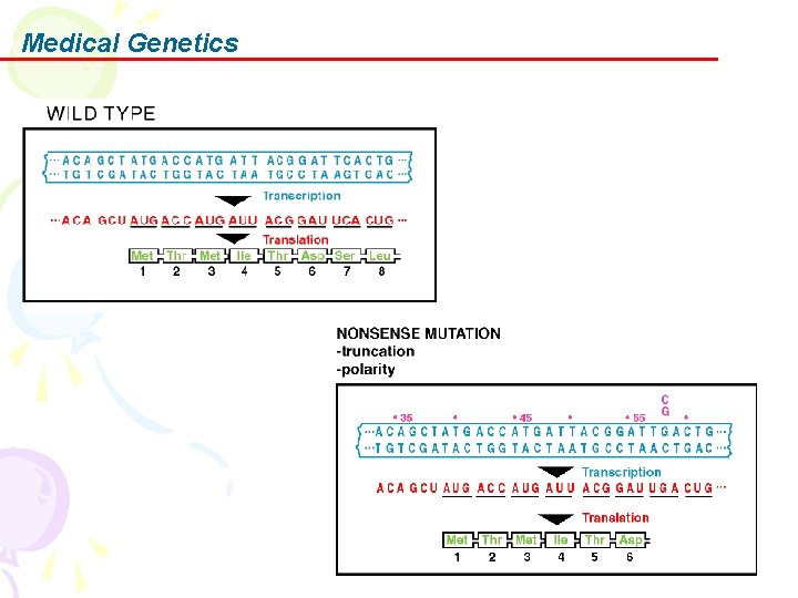 Medical Genetics 