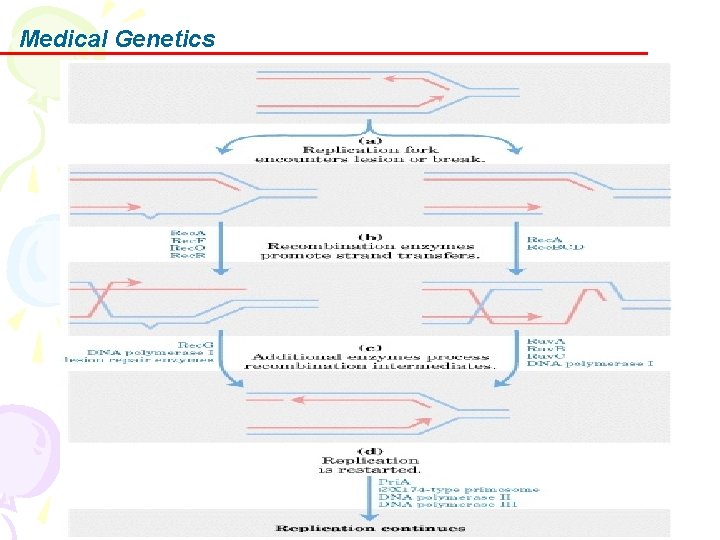 Medical Genetics 