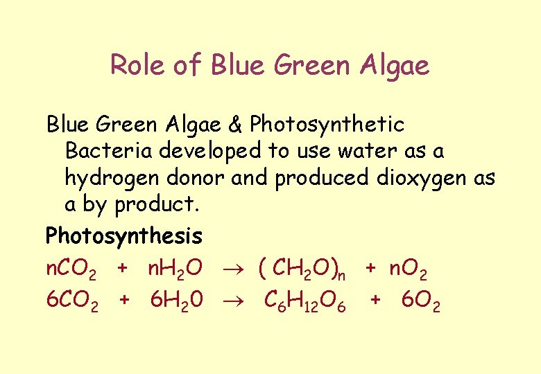Role of Blue Green Algae & Photosynthetic Bacteria developed to use water as a