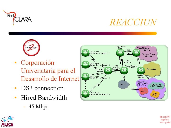 REACCIUN • Corporación Universitaria para el Desarrollo de Internet • DS 3 connection •