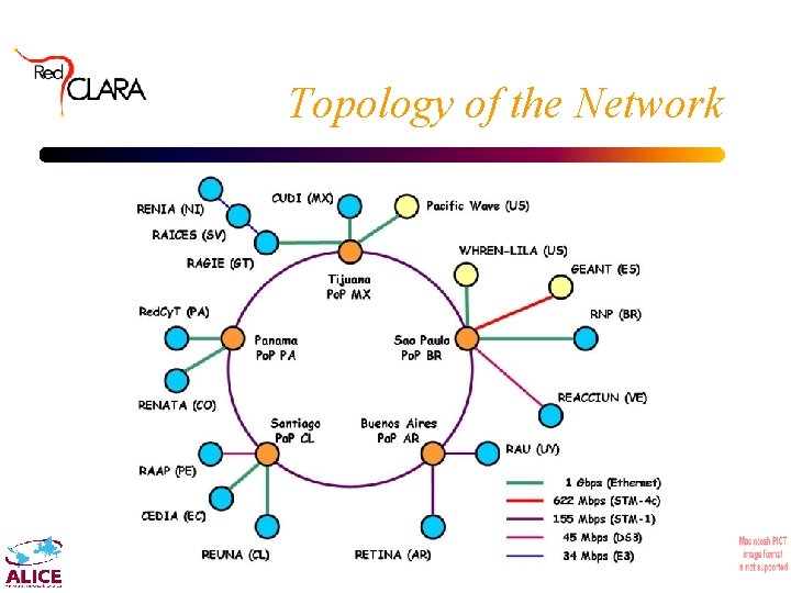 Topology of the Network 