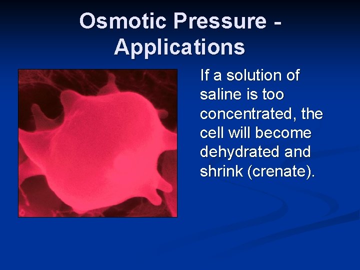Osmotic Pressure Applications If a solution of saline is too concentrated, the cell will