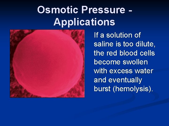 Osmotic Pressure Applications If a solution of saline is too dilute, the red blood